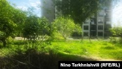 ადგილი, სადაც 17 მარტს ბავშვი სხეული იპოვეს. ფოტო გადაღებულია 28 აპრილს