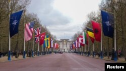 Zastave NATO-a i država članica ispred Buckinghamske palače, uoči 75. godišnjice potpisivanja Sjevernoatlantskog ugovora, u Londonu, 3. april 2024. 