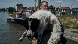 Цитаты Свободы. Апокалипсис - не метафора Цитаты Свободы. Апокалипсис - не метафора