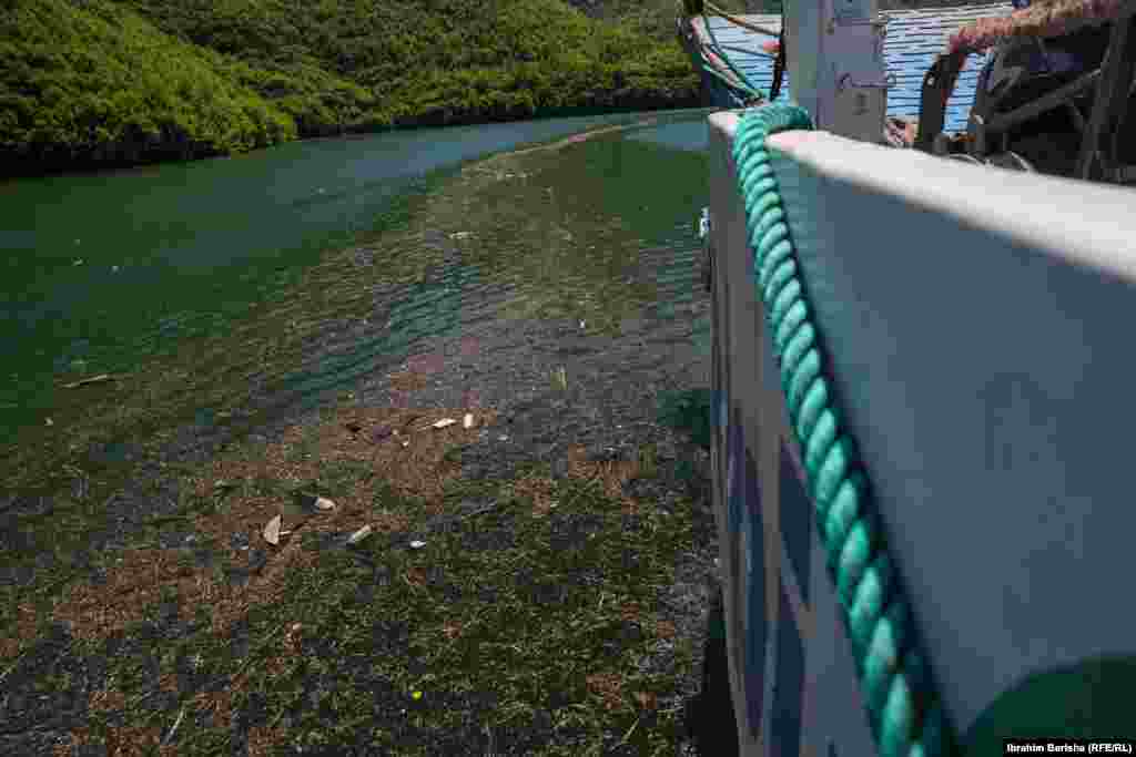 Jezero Komani redovno posjećuju turisti iz regiona, kao i iz raznih zemalja svijeta.