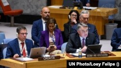 Željko Komšić (desno), član Predsjedništva BiH i Ivan Šimonović (lijevo), ambasador Hrvatske pri UN, u Savjetu bezbjednosti, Njujork, SAD, 2. november 2023.