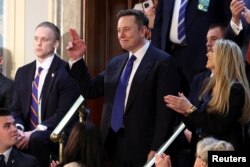 ილონ მასკი, აშშ-ის მთავრობის ეფექტიანობის დეპარტამენტის ხელმძღვანელი