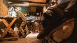 Олена – бойовий медик і кухар, доглядала за псом після операції