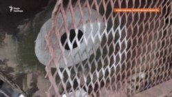 Чернігівщина: наслідки контратаки ЗСУ в Новій Басані (відео) Чернігівщина: наслідки контратаки ЗСУ в Новій Басані (відео)