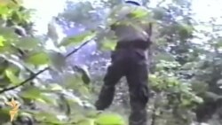 Šta se desilo u Srebrenici Šta se desilo u Srebrenici