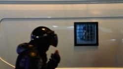 Мы не испуганные животные Мы не испуганные животные