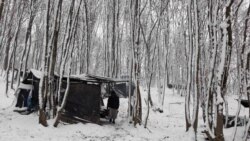 Surova zima za migrante u šumi kod Velike Kladuše Surova zima za migrante u šumi kod Velike Kladuše