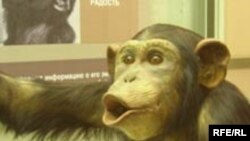 "Тварь ли я дрожащая, или право имею?"