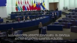 ევროპის პარლამენტმა საქართველოს შესახებ რეზოლუცია მიიღო 