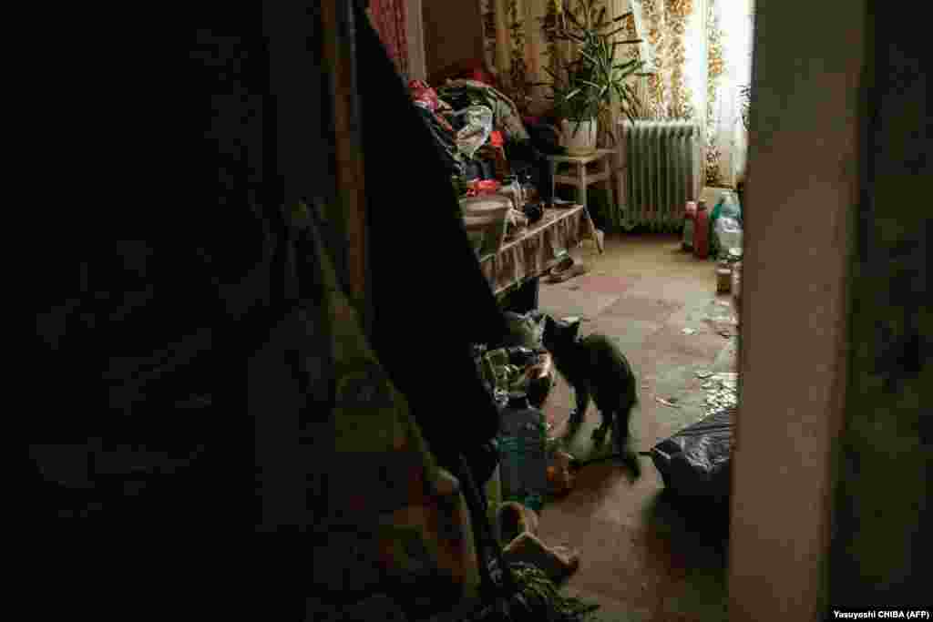 Nevladine organizacije i dalje pokušavaju evakuisati one koji nisu poslušali naredbu Zelenskog. Devedesetogodišnjeg Ivana Solovjankova (nije na fotografiji),&nbsp;penzionera koji živi u ovom stanu sa svojom mačkom, na kraju su ubijedili da ode.