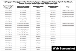 ამონარიდი თიკა რუხაძის დეკლარაციიდან