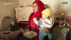 Kapitalizam kao 'divlja zver' Kapitalizam kao 'divlja zver'