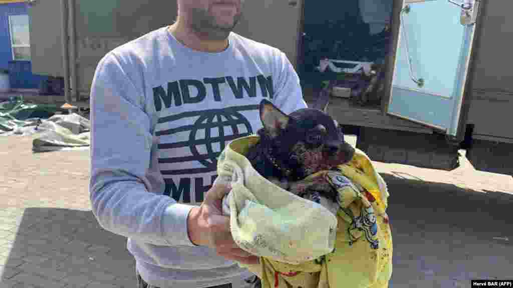 Povređeni pas nakon raketnog napada na stanici u Kramatorsku