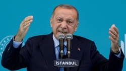 Страхи султана Страхи султана