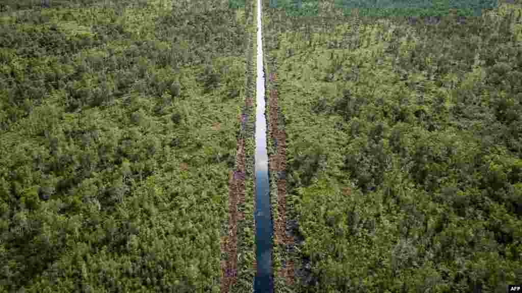 Na fotografiji: kanal koji presijeca šumu tresetišta u blizini plantaže akacije u Lebung Itambu, južna Sumatra.Tresetište je prijelazni ekosistem – naizgled ni voda ni kopno – koji usporava razgradnju biljaka i stvara treset bogat ugljenikom. Pokriva samo tri posto Zemljine površine, ali se procjenjuje da može pohraniti 44 posto ugljen-dioksida iz tla.