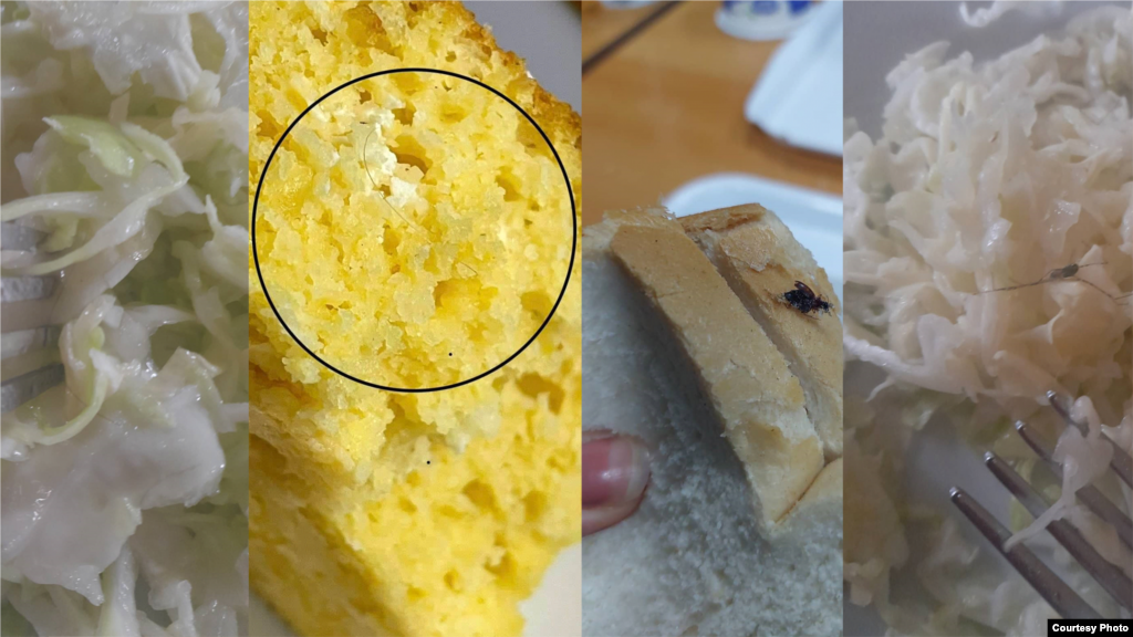 Dlake, muha, komarac - &quot;bonus&quot; dodatak u dijelu obroka.