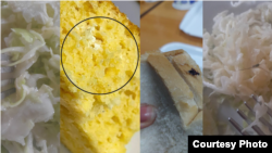 Komarci, muhe i dlake 'prilozi' u studentskom restoranu u Skoplju 