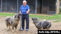 Mujdin Bajra je dvorištu za šarplanince izgradio moderne bungalove.