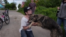 Ко мне! Ко мне!