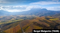 Ілюстраційне фото