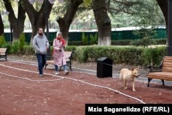 სოსო, დანი და "მზიური"