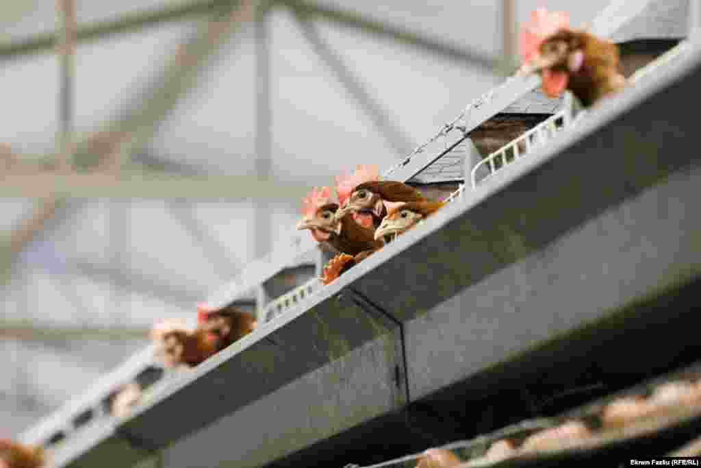 Nedavne poplave u Srbici i u nekoliko drugih opština na Kosovu oštetile su porodice, preduzeća, poljoprivredne usjeve, kao i putnu infrastrukturu.