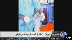 Відеокадр з сюжету іранського телебачення, 28 січня 2013 року