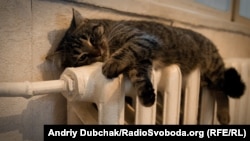 За словами Кулеби, загалом в роботі вже перебувають 10 354 котельні із підготовлених 17 500 тисяч