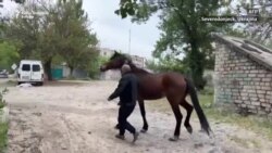 Preživjeti dan po dan pod bombama