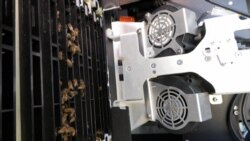 Zujanje računara održava zujanje pčela