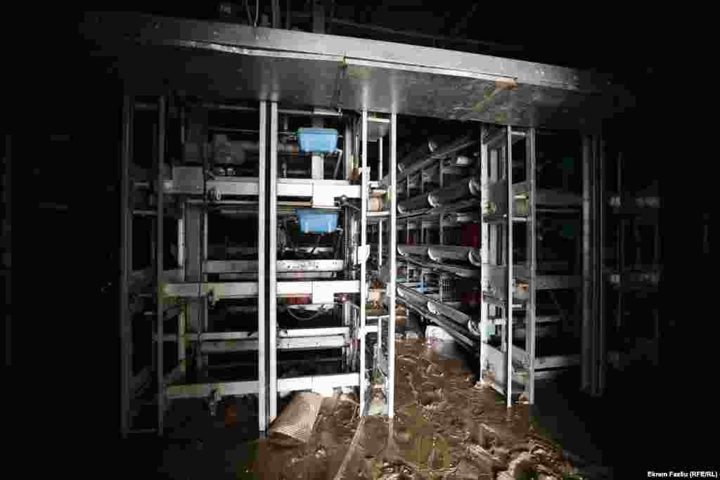 Geci je rekao da se u saradnji sa opštinskim zvaničnicima očekuje da kokoške budu ukopane 24. januara.