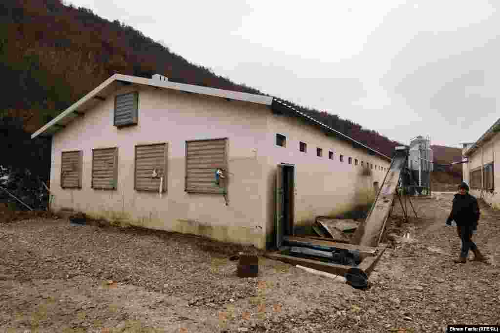 Farma kokoški, koja je stradala u poplavama.