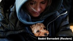 На кожну дитину, яка під час війни вимушено переїхала у більш безпечні регіони, виплатять також по 3 тисячі гривень