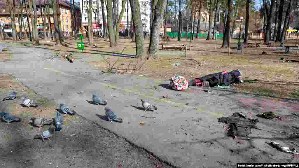 «Встановити точні дані про кількість убитих і поранених жителів міст Маріуполя і Волновахи Донецької області та міста Ірпінь на Київщині наразі неможливо», – наголосила уповноважена Верховної Ради з прав людини Людмила Денісова