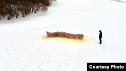 Работа художника Ивана Волкова, за которую в Петербурге возбудили уголовное дело