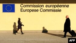 EU je više kao savez suverenih država sa delegiranom tehnokratijom u Briselu