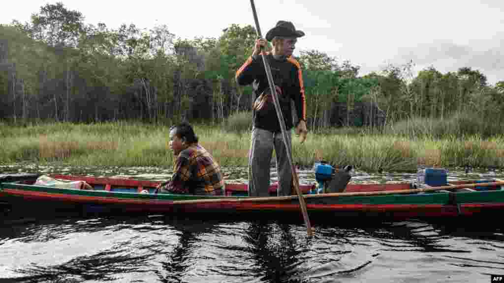 Mještani žive u simbiozi s tresetištima – love ribu, uzgajaju rižu i drže vodene bivole na tom području.