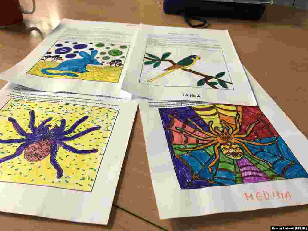 „Volim ove crteže, volim što sam radio aboridžanske crteže, tu nam je bila gošća iz Australije, i mi smo te aboridžanske crteže zajedno pripremili“.