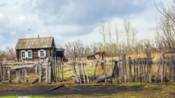 Археология. Дорога к рабству Археология. Дорога к рабству