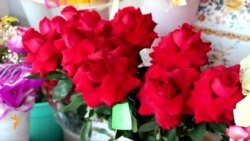 Казанда чәчәк бәяләре нык артты Казанда чәчәк бәяләре нык артты