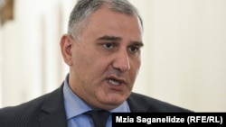 მიხეილ სარჯველაძე, ადამიანის უფლებათა დაცვის კომიტეტის თავმჯდომარე