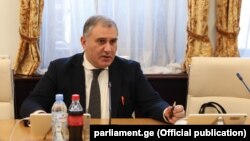 პარლამენტის ადამიანის უფლებათა დაცვისა და სამოქალაქო ინტეგრაციის კომიტეტის თავმჯდომარე მიხეილ სარჯველაძე