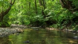 'Život' rijeka nakon mini hidroelektrana