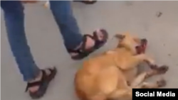 Архивное фото