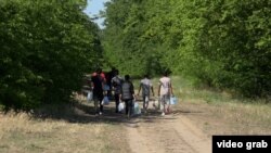 Ilegalni migranti u blizini granice Srbije i Mađarske, jun 2022.