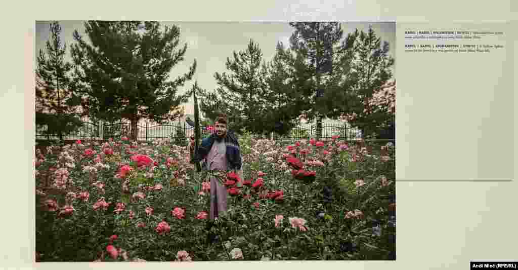 &quot;Afganistan je mjesto ekstrema. Mjesto na kojem, rame uz rame, egzistira ono najbolje i najgore od čovječanstva. Strah i hrabrost, očaj i nada, život i smrt koegzistiraju na tom mjestu&quot;, opisuje autorica Afganistan.&nbsp; Na fotografiji: Talibanski borac pozira svom prijatelju u ružičnjaku na brdu Wazir Akbar Khan. (20.5.2022. Kabul, Afganistan)&nbsp; &nbsp;