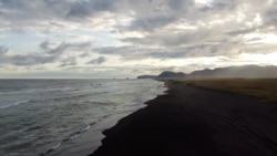 Pomor riba, foka i rakova na Kamčatki Pomor riba, foka i rakova na Kamčatki