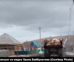 Кадры вывоза животных