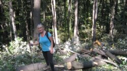 Dragana Arsić pored posečenih stabala na Fruškoj gori