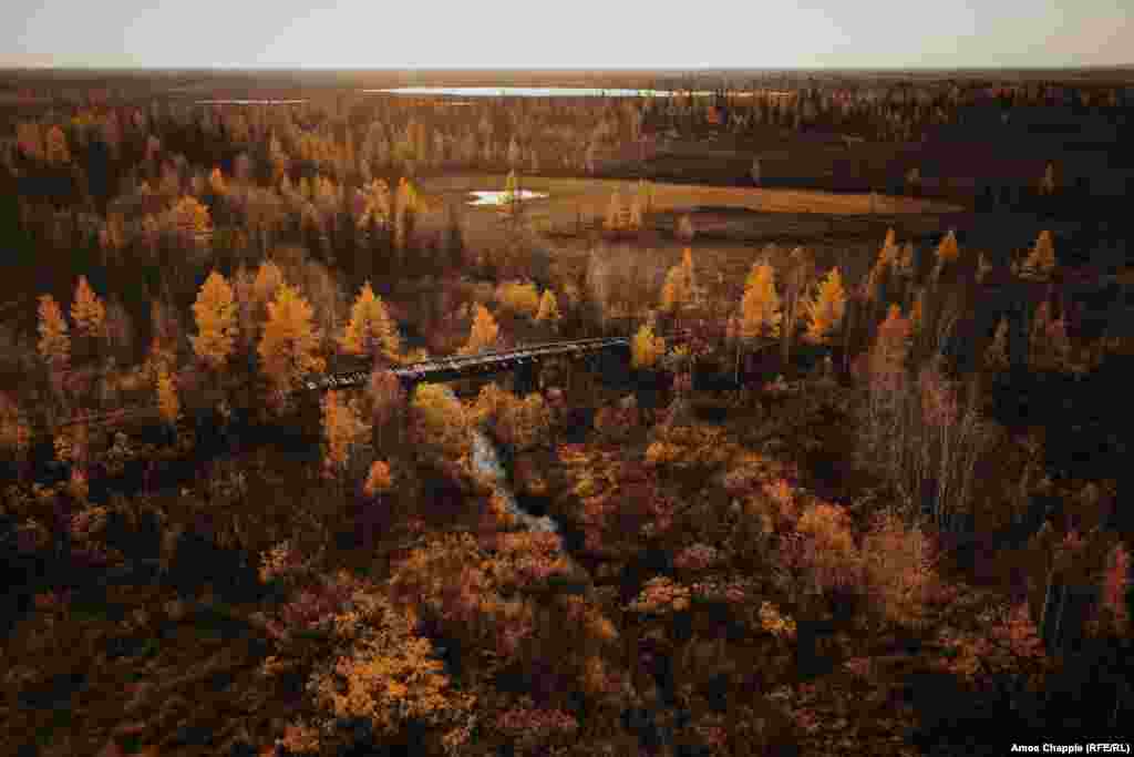 Залишки залізниці, відомої як сталінська «Дорога смерті», в російській тайзі між Салехардом і Надимом, 23 вересня. Детальніше про один з трагічних проектів ГУЛАГу в Радянському Союзі дивіться наш фоторепортаж photo feature. (Амос Чаппл, Радіо Свобода/Радіо Вільна Європа) 